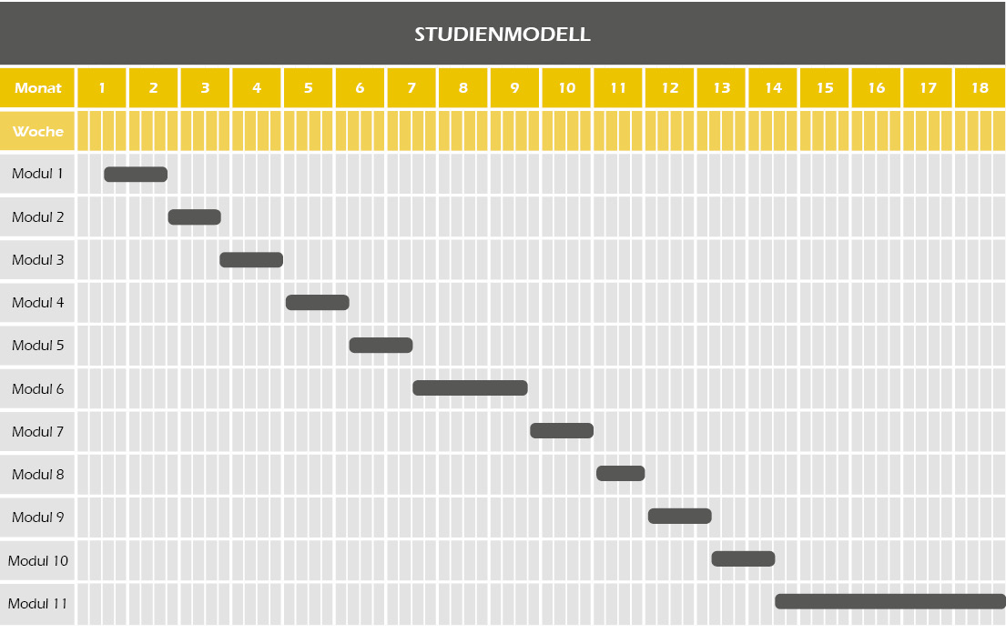 Studienmodell