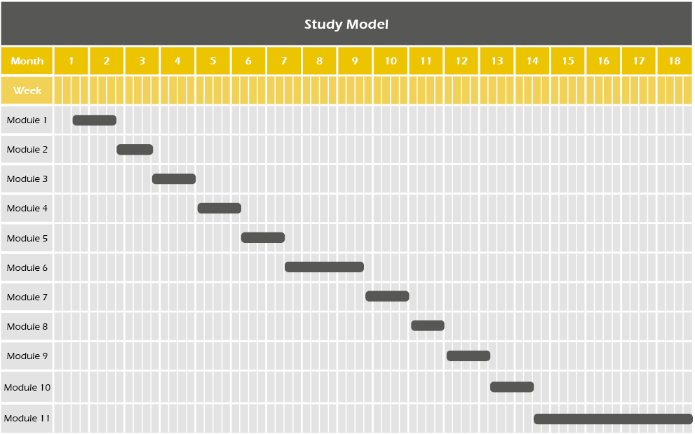 Study Model MBA